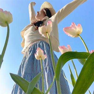 良陈美锦